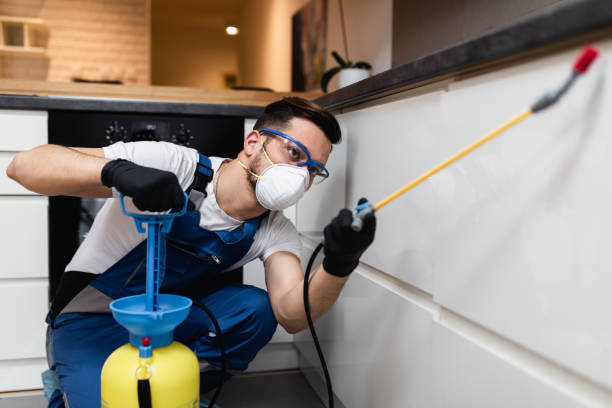 Best Affordable Exterminators  in Charleston, MS