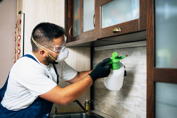 Best Rat Extermination Near Me  in Charleston, MS