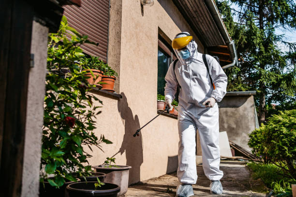 Best Pest Inspection Near Me  in Charleston, MS