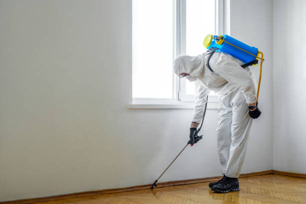 Best Wasp Removal Services  in Charleston, MS