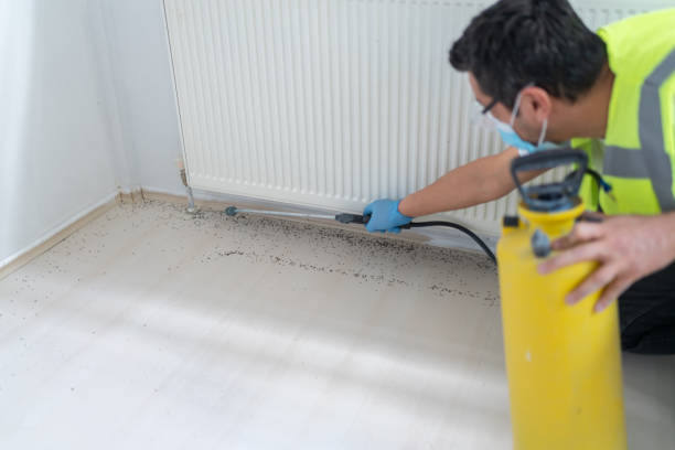 Trusted Charleston, MS Pest Control Experts